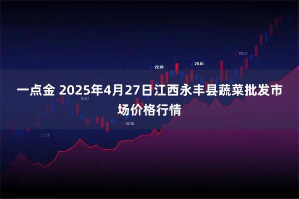 一点金 2025年4月27日江西永丰县蔬菜批发市场价格行情