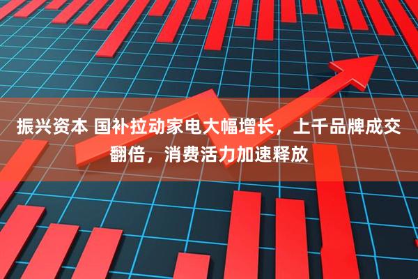 振兴资本 国补拉动家电大幅增长,上千品牌成交翻倍,消费活力加速释放