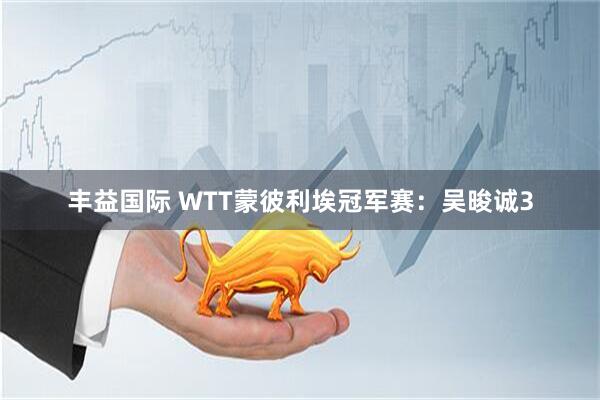 丰益国际 WTT蒙彼利埃冠军赛：吴晙诚3