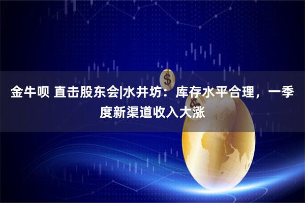 金牛呗 直击股东会|水井坊：库存水平合理，一季度新渠道收入大涨